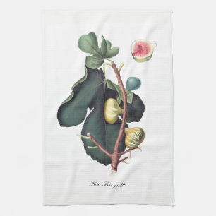 Italian Fig Kitchen Towel