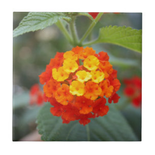 Italian flowers ceramic tile