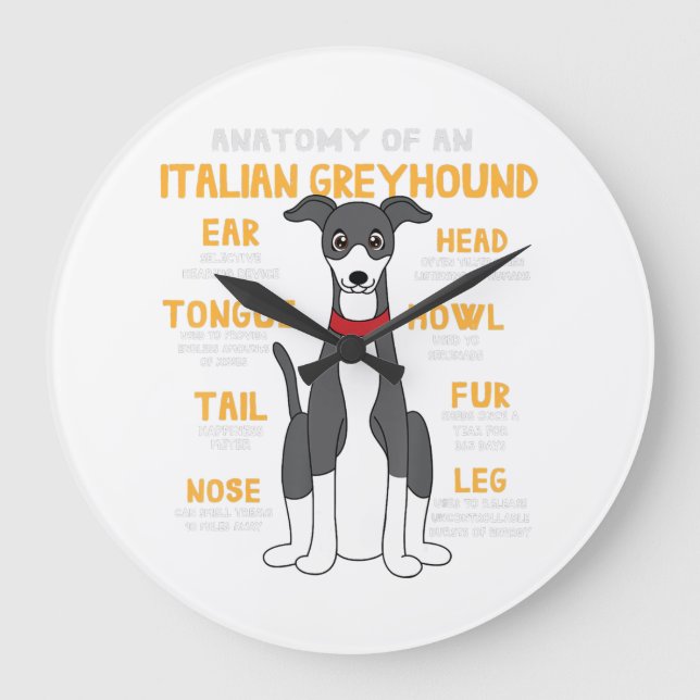 Italian Greyhound Anatomy Funny Dog Mum Dad Gift Large Clock (Front)