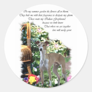 Italian Greyhound Art Gifts Classic Round Sticker