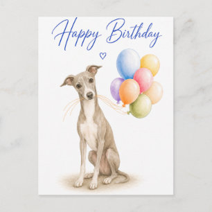 Italian Greyhound Birthday Postcard