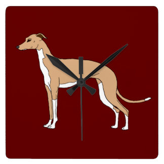 Italian Greyhound - Blue fawn Square Wall Clock