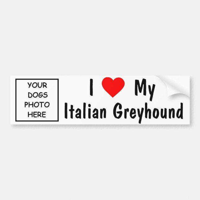 Italian Greyhound Bumper Sticker (Front)