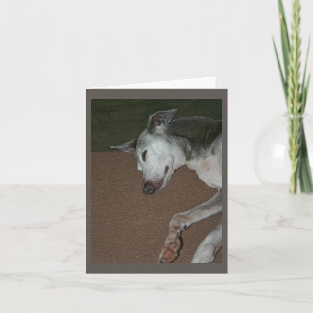 Italian Greyhound Card #2 (Front)