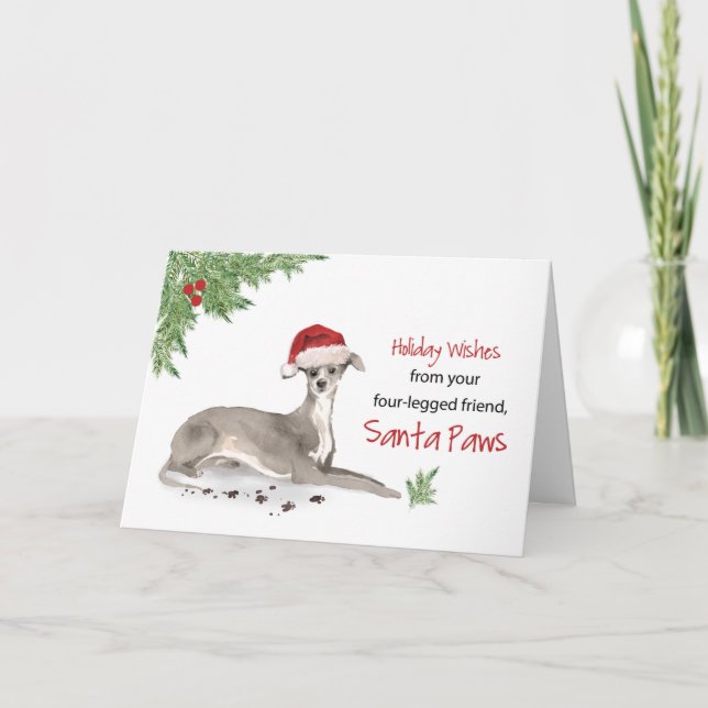 Italian Greyhound Christmas From Dog in Funny Sant Card (Front)