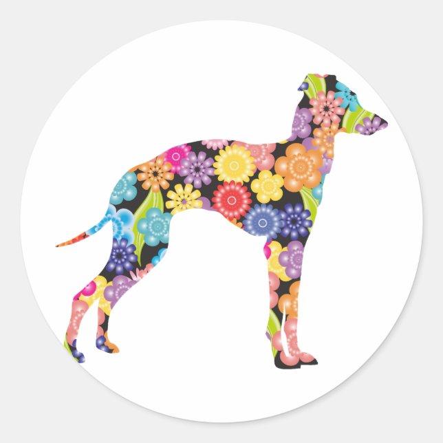 Italian Greyhound Classic Round Sticker (Front)