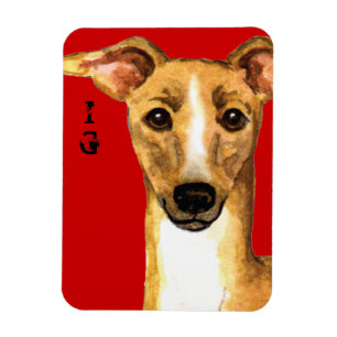 Italian Greyhound Colour Block Magnet