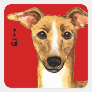 Italian Greyhound Colour Block Square Sticker