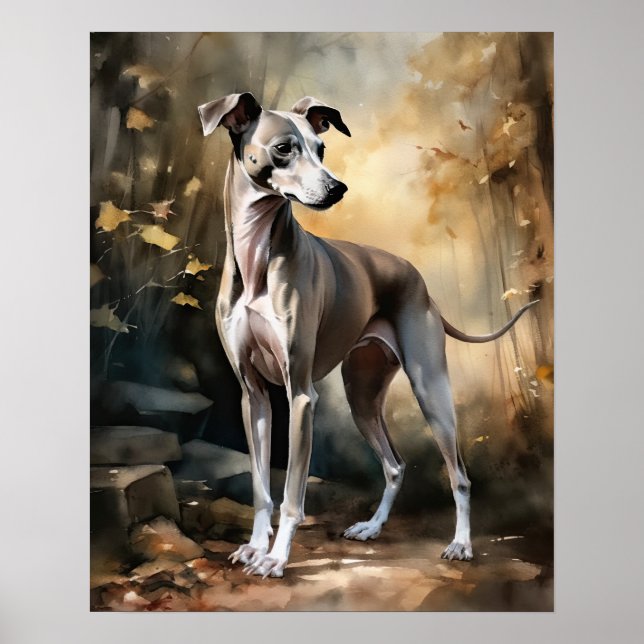 Italian Greyhound Dog Art Print Poster (Front)