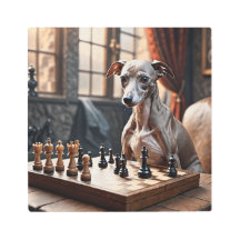 Italian Greyhound Dog Playing Chess