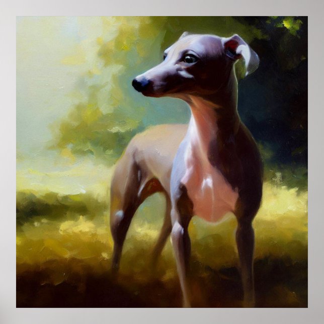 Italian Greyhound Dog Poster (Front)