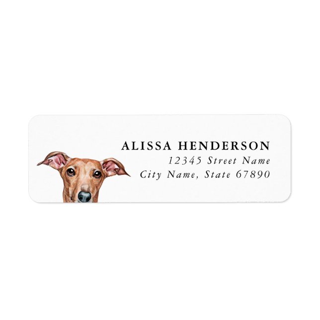 Italian Greyhound Dog Return Address Labels (Front)