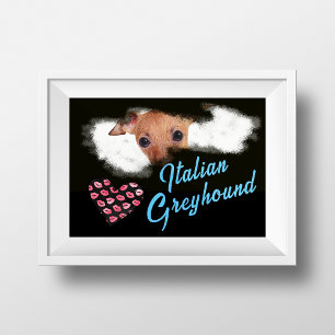 Italian Greyhound Eyes Solid Colour Poster