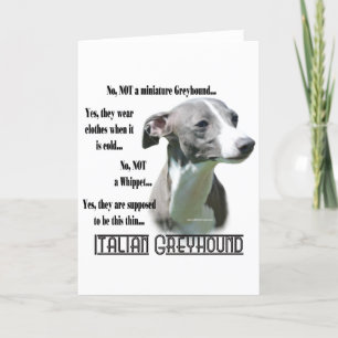 Italian Greyhound FAQ Card