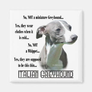 Italian Greyhound FAQ Magnet