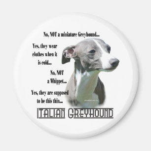 Italian Greyhound FAQ Magnet