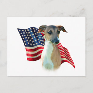Italian Greyhound Flag Postcard