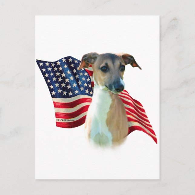 Italian Greyhound Flag Postcard (Front)