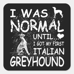 italian greyhound i was normal until dirty design square sticker