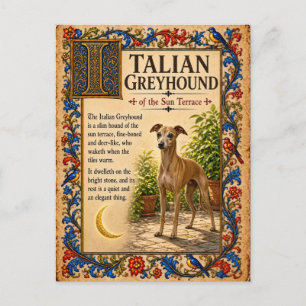Italian Greyhound, Mediaeval Bestiary Art Postcard