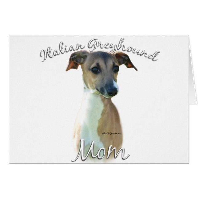 Italian Greyhound Mum 2 (Front Horizontal)