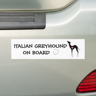 Italian greyhound on board Iggy dog silhouette Bumper Sticker