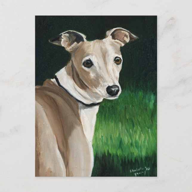 Italian Greyhound Original Dog Art Postcard (Front)