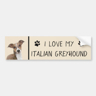 Italian Greyhound Painting - Cute Original Dog Art Bumper Sticker