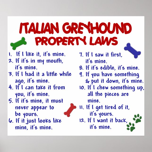 ITALIAN GREYHOUND PL2 POSTER (Front)