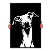 Italian Greyhound Pop Art White & Black Aesthetic