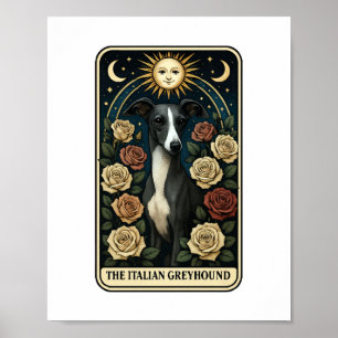 Italian Greyhound Poster