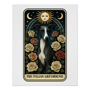 Italian Greyhound Poster