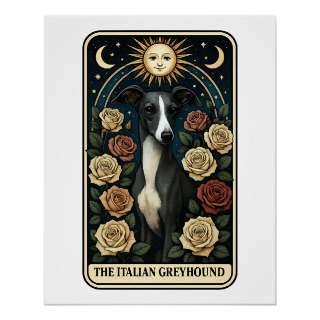Italian Greyhound Poster (Front)
