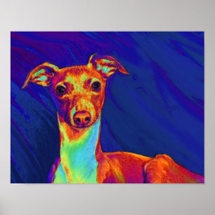 italian greyhound puppy poster