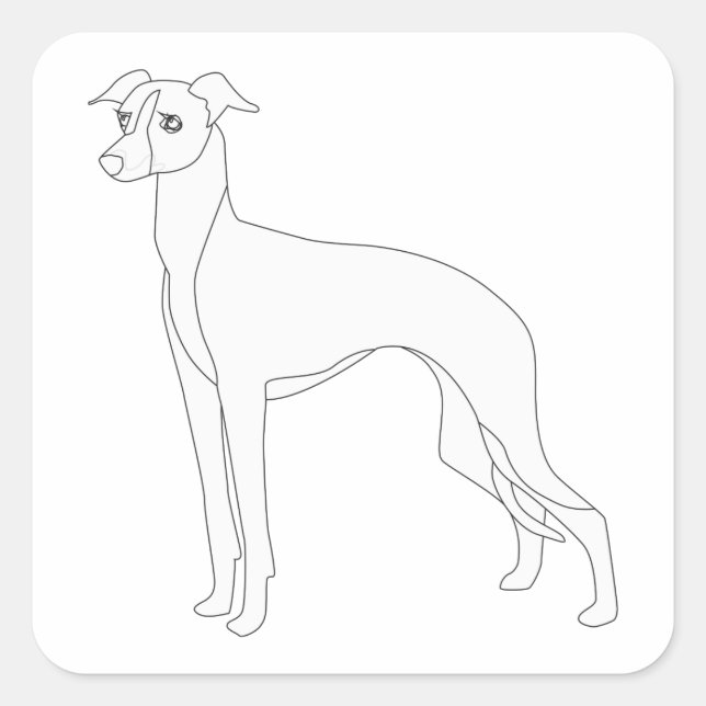 Italian Greyhound Ready to Colour Square Sticker (Front)