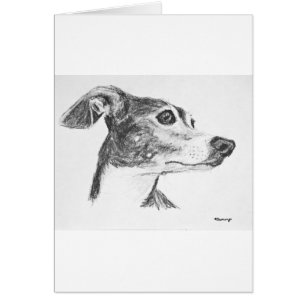Italian Greyhound Sketch
