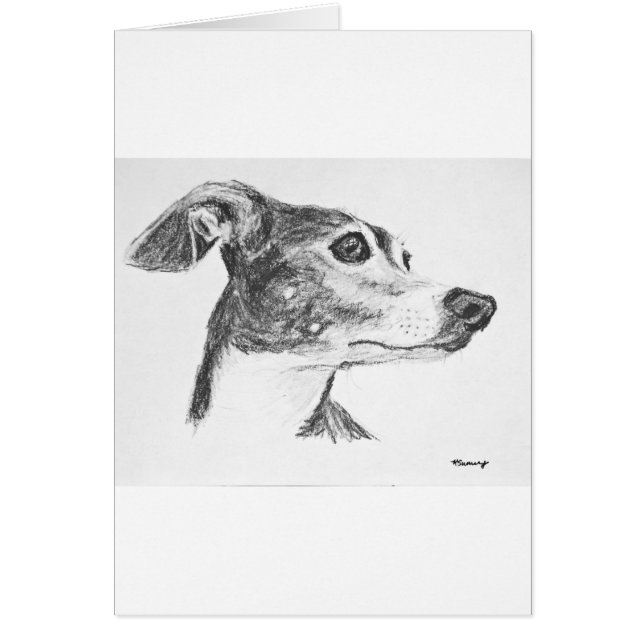 Italian Greyhound Sketch (Front)