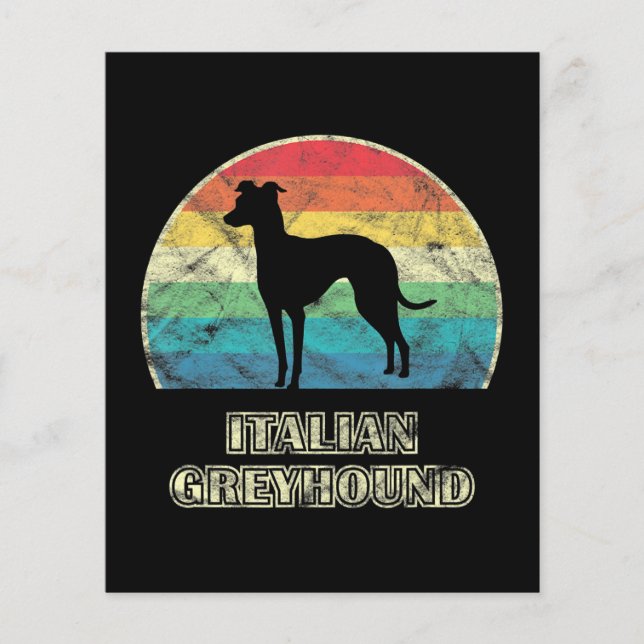 italian greyhound  style dog (Front)
