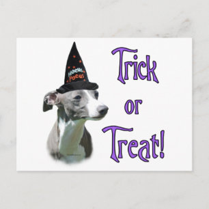 Italian Greyhound Trick Postcard