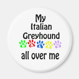 Italian Greyhound Walks Design Magnet