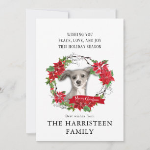 Italian Greyhound Watercolor Poinsettia Christmas Holiday Card