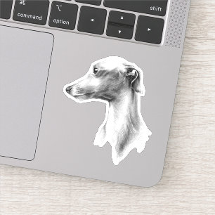 Italian Greyhound Whippet dog portrait drawing art