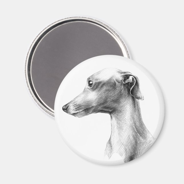 Italian Greyhound Whippet dog portrait drawing art Magnet (Front/Back)