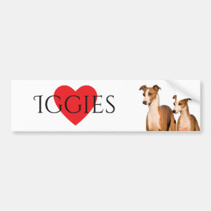 Italian Greyhounds Bumper Sticker