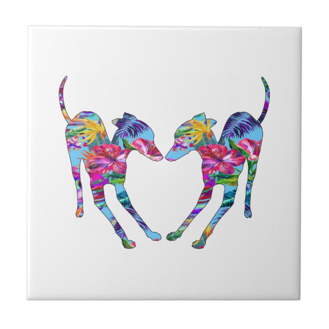 Italian Greyhounds Playing - Tropical Ceramic Tile (Front)