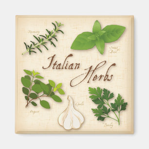 Italian Herbs, Basil, Oregano, Parsley, Garlic Magnet
