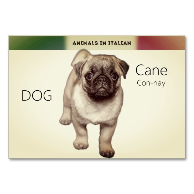 Italian Language Cards Dog Animal Flash | (Front)