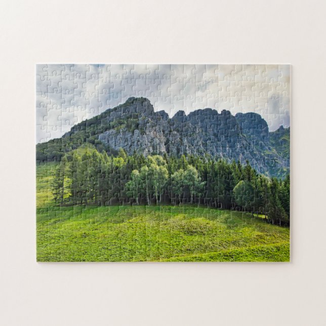 Italian mountain pines forest & green meadow jigsaw puzzle (Horizontal)