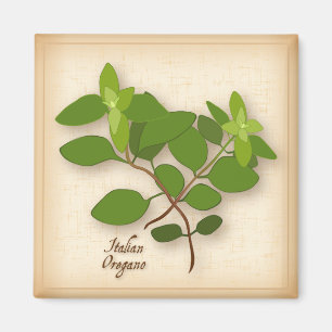 Italian Oregano Herb Magnet