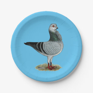 Italian Owl Grizzle Pigeon Paper Plate